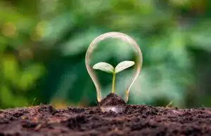 אנרגיה ירוקה